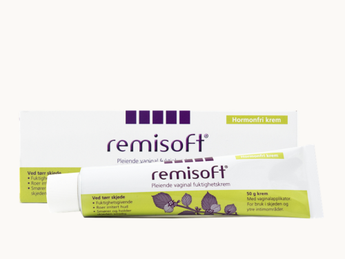 remisoft_500x375
