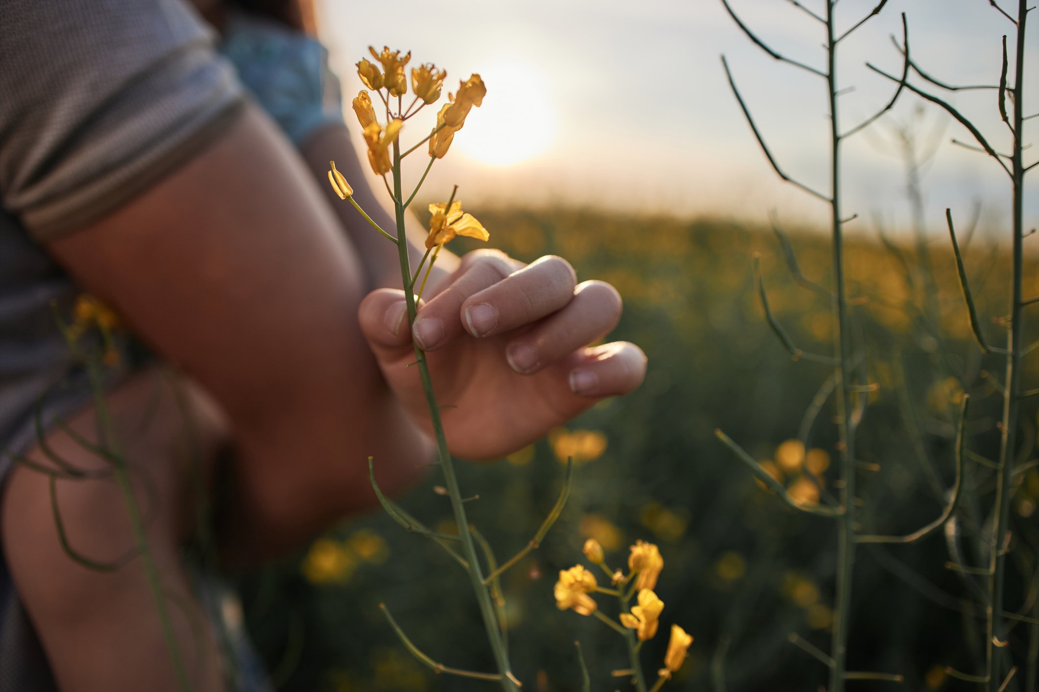 SEN_picking_flower