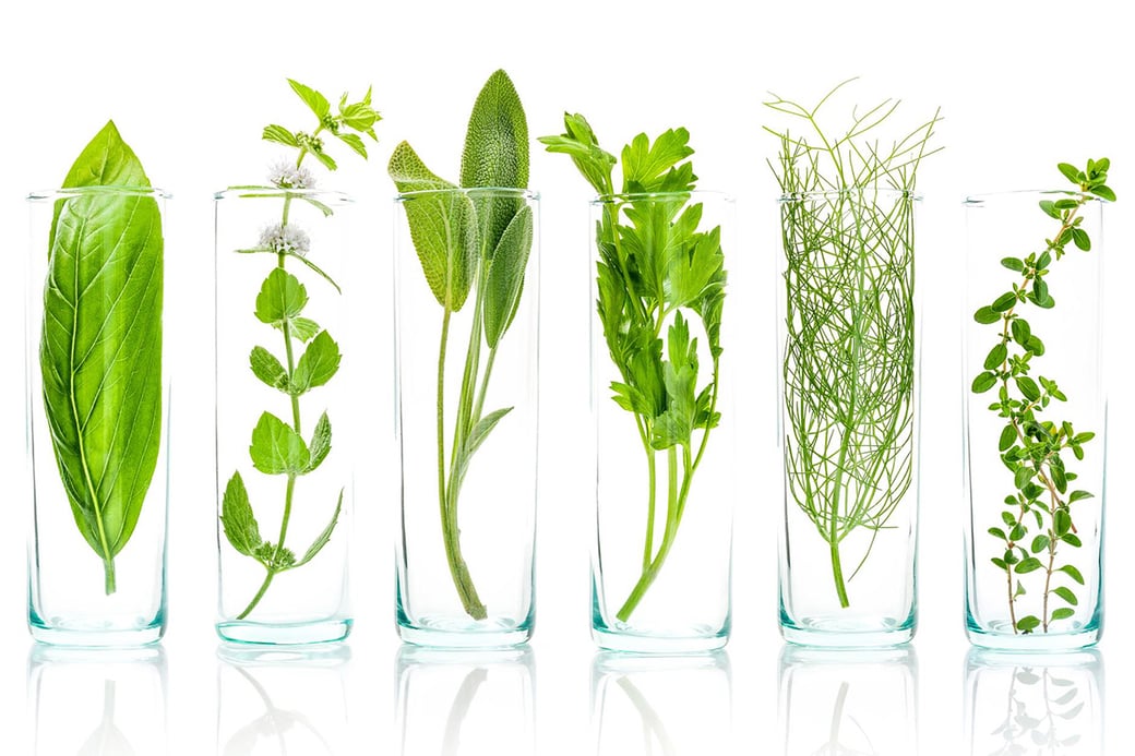 iStock-615494758_plants_AM